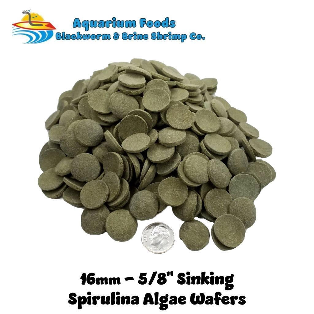 16mm - 5/8" Sinking Spirulina, Veggie and Algae Wafers for Bottom Tropical Fish, Shrimp, Snails, Crabs, Plecos, Catfish - 16oz Lg Round Jar
