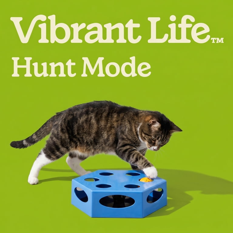 Vibrant Life Hex Maze Electronic Cat Toy, Interactive Hexagon Maze