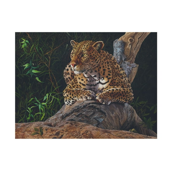 Canvas Wall Art - Delene Lambert 'Daydreaming' Wall Art for Living Room, Bedroom, or Office Décor by Trademark Fine Art - 19 x 14 Inches