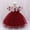 Red, variant on WOYY Newborn Girls Tulle Birthday Wedding Party Dress Princess Pageant Gown, Sizes 0-18M