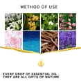 thumbnail image 3 of Liquidación de aceites esenciales Naxoaeo: los 6 mejores para difusores, cuidado del hogar, aromas para velas, fragancias, aromaterapia, humidificadores y regalos: menta, árbol de té, lavanda,, 3 of 6