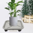 thumbnail image 4 of WRISTBIQUE Para Plantas En Interiores Con Y Inferior Para Evitar Derrames, 4 of 8