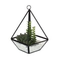 thumbnail image 1 of hometrends  Succulent Terrarium, 1 of 5
