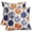 Blue Orange-chinoiserie, variant on Lime Green Pumpkin Fall Pillow Covers 20x20 Set of 2 Autumn Themed Thanksgiving Harvest Print Decorative Throw Pillows Outdoor Farmhouse Pillowcases Cushion Case Seasonal Decor for Couch Sofa Bed