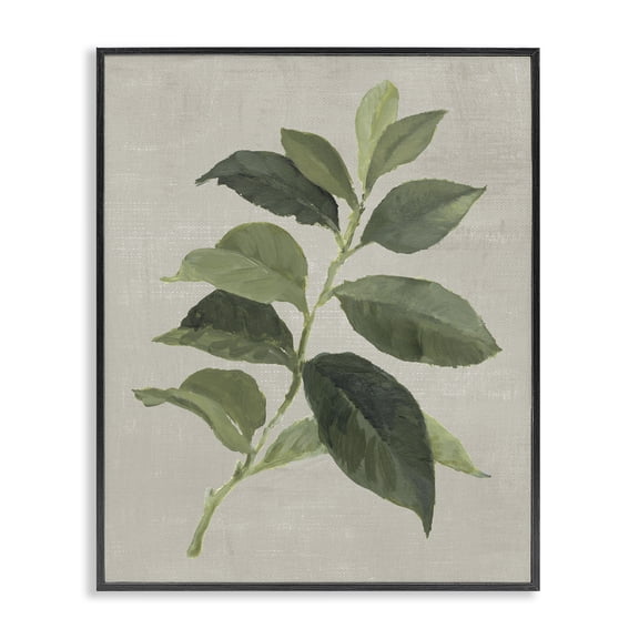 Stupell Industries Scandinavian Arabica Coffee Plant Leaf Black Framed Giclee Art, 11 x 14, by Lanie Loreth