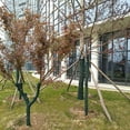 thumbnail image 5 of Envoltura de árbol Tela transpirable Protector de árbol Protectores de árboles de invierno Envoltura protectora de árboles, 5 of 5
