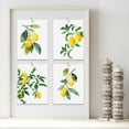 thumbnail image 2 of PixonSign&nbsp;Frameless Pastel Watercolor Lemon Wall Art, Set of 4 Nature Wilderness Wall Prints, Botanical Plants Floral Wall Décor, Fresh Fruits Poster Set Modern Art Home Decor - 8"x10", 2 of 5