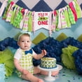 thumbnail image 4 of Hole in One Birthday Decorations Girl - High Chair Banner, Pink and Green Golf 1st Birthday Party Decorations, Outdoor Sports Theme Birthday Party Supplies, 4 of 6