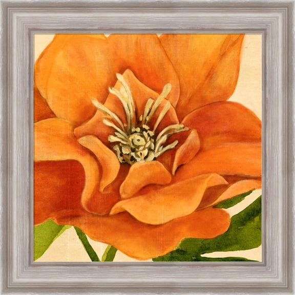 Great Art Now Copper Petals II by Annie Warren, Framed Wall Art, 20W x 20H