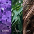 thumbnail image 3 of WoodWick Lavender Spa Ellipse Candle, 3 of 8
