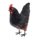 thumbnail image 2 of Figuras en Miniatura de Animales de Granja Baoblaze de Tamaño Natural Color negro, 2 of 8