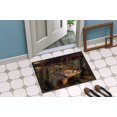 thumbnail image 4 of Carolines Treasures JMA2004MAT Tapis Snook Intérieur Ou Extérieur 18 x 27 Po., 4 of 4