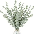 thumbnail image 4 of 10/30pcs Eucalyptus Stems, 15inch Artificial Eucalyptus Leaves Faux Eucalyptus Stems Eucalyptus Branches Flowers for Home Office Farmhouse Wedding Centerpiece Vase Filler Decor, 4 of 8