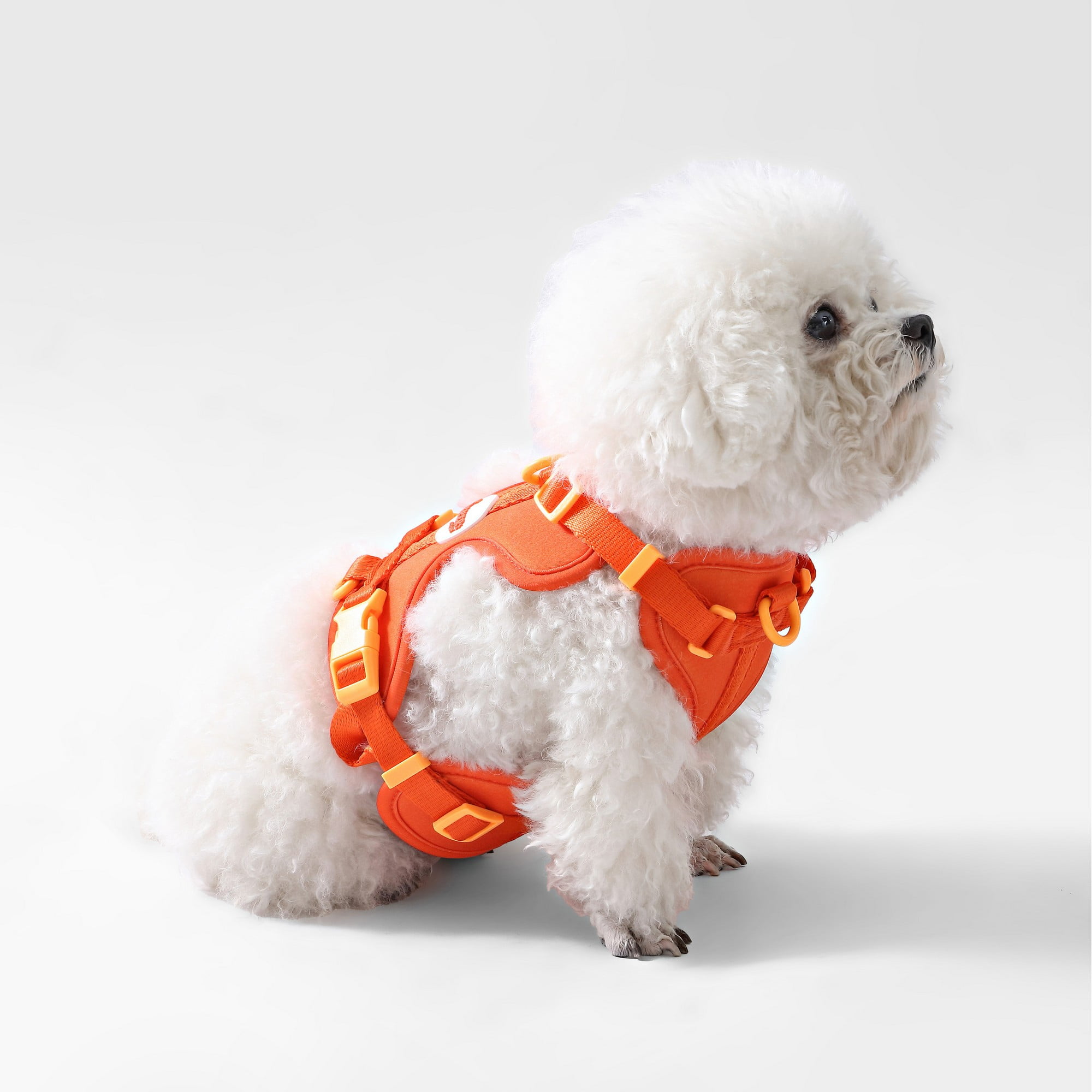 THE LICKER STORE Arlo Small Adjustable Soft Padded No Pull Pet Harness with 3 Buckles and 3 Leash Clips, Dark Orange, HNS1001A