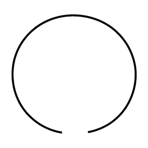 RAParts Lock Ring 100559A1 85806006 Fits Case Loader Landscaper 570LXT 570MXT