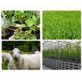 thumbnail image 3 of Medidor de pH y medidor de pH del , medidor del agua, medición de temperatura y CE para agua potable, plantas hidropónicas, granja de Macarena Medidor de humedad, 3 of 8