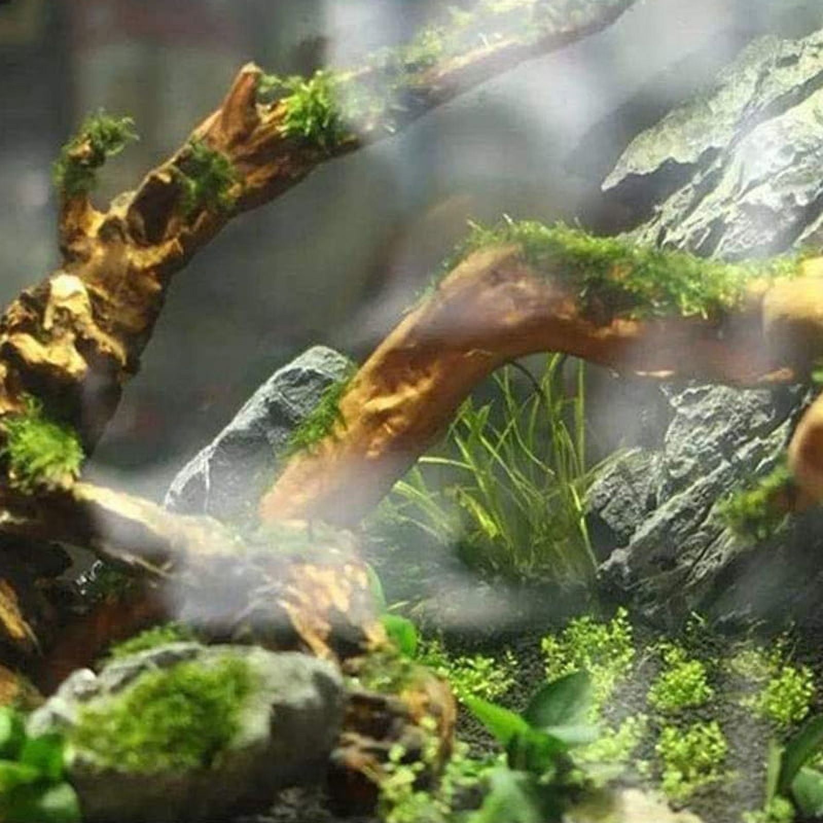 Large Natural Driftwood Branches Reptiles Aquarium Fish Tank Decoration Fish Tank Cave Hideout Wood Decor Driftwood