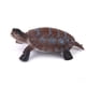 thumbnail image 5 of Conjunto de 8 Piezas Macarena Tortugas de Plástico Modelo de Tortuga Colección de Juguetes, 5 of 8