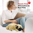 thumbnail image 4 of Peluche Perfect Petzzz Pug Puppy Pug con acceso., 4 of 8