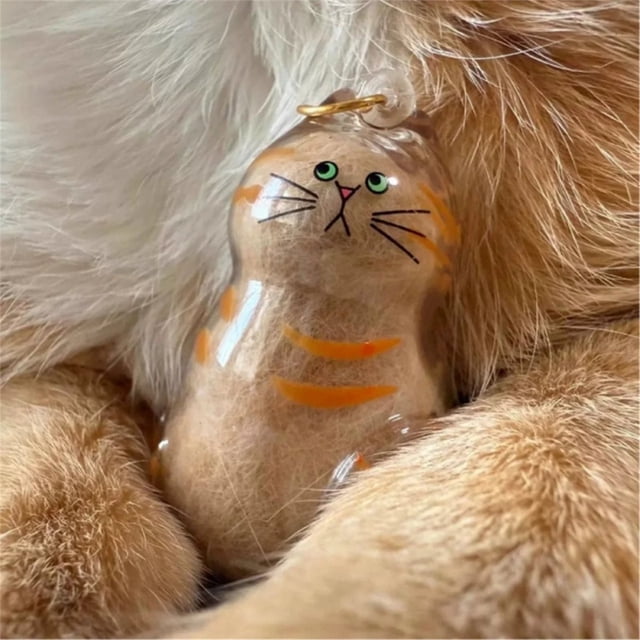Pet Hair Storage Box Transparent Keepsake Container for Cat Fur DIY Decoration Memorial for Pet Lovers Display,A