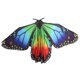 thumbnail image 1 of Minnieouse Egypt Belly Dancing Costume Dance Accessories Wing Halloween Prendas para la parte inferior del cuerpo, 1 of 1