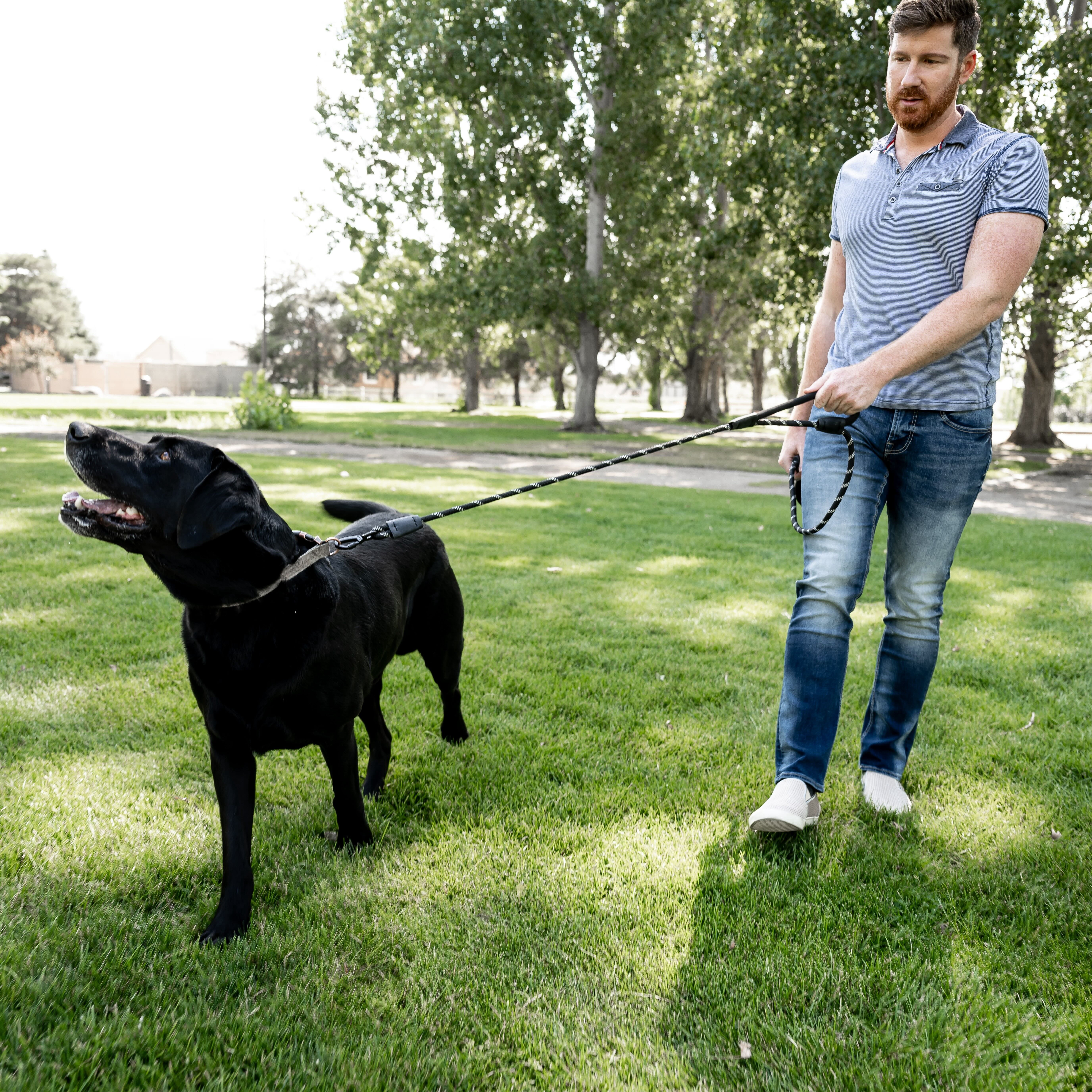 Roam Gear 6 Foot Dog Leash, Nylon, Reflective, Heavy Duty, Padded Handles, Lockable Carabiner, Black