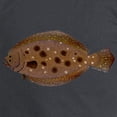 thumbnail image 3 of CafePress - Summer Flounder Long Sleeve T Shirt - Long Sleeve Dark T-Shirt, 3 of 4