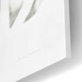 thumbnail image 3 of Epic Art 'Flannel Flower Neutral' by Elise Catterall, Acrylic Glass Wall Art, 16"x12", 3 of 8