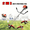 2 in 1 (Red), variant on Floseru 5 in 1 Multifunctional Weed Eater, 52CC 2-Cycle Gas Cordless Hedge Trimmer, 2026 Upgraded Weed Eater Gas Powe, String Trimmer, Handheld Chainsaw Brush Cutter for Yard, Garden