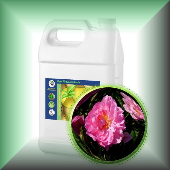 Rose De Mai Essential Oil (Rosa Centifolia)