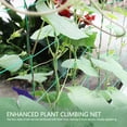 thumbnail image 3 of Garden Plant  Netting, Climbing Vining Plants  Netting Polypropylene Climbing Vegetables Fruits Support Net, 3 of 8