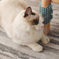 thumbnail image 4 of Multi Functional Catnip Flavor Corner Massage Glove Tool For Kitten Puppy Relaxing, Extra Soft Silicone Pins Handy Hair Shedding Trimming, 4 of 5