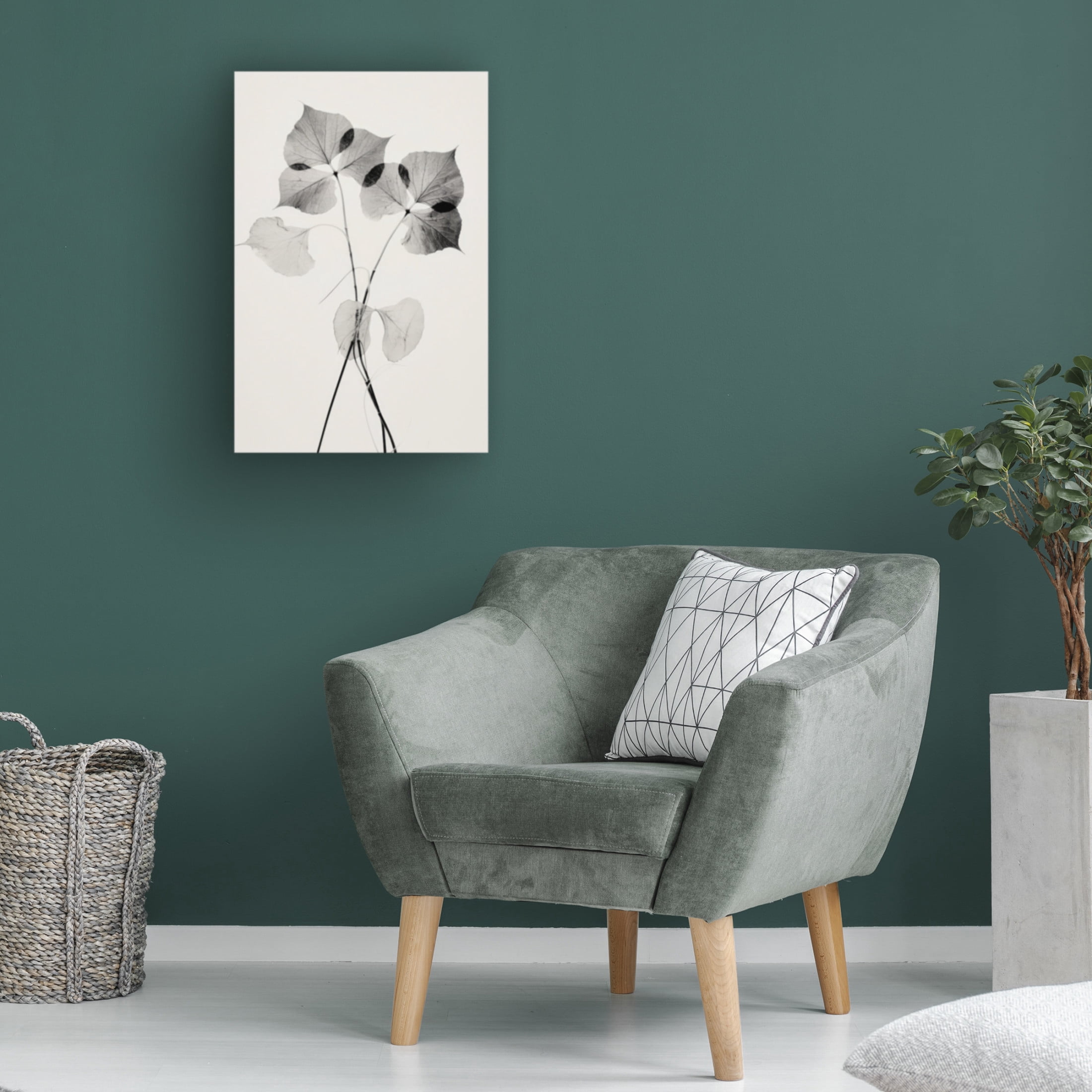 Trademark Fine Art Treechild   Transparent Botanic No 2 Canvas Wall Art