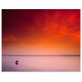 thumbnail image 1 of Great BIG Canvas | Rolled The Irish Image Collection Poster Print entitled Horseback Riding, Strangford Lough, County Down, Ireland, 1 of 4