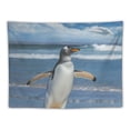 thumbnail image 5 of Orinice Penguin Beach Ocean Tapestry Wall Hanging Unique Style Graphic Tapestries Home Wall Decor Art for Living Room Bedroom Apartment Farmhouse Dorm 60x50inch, 5 of 6
