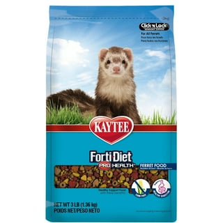 Wet ferret food 2025