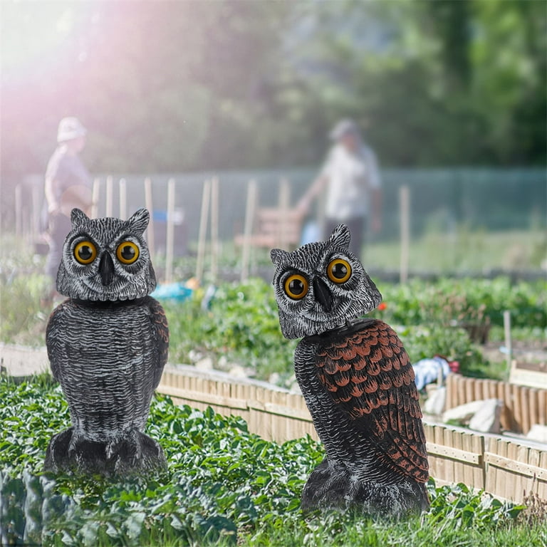 Owls For Gardens To Repel Birds Fasci Garden