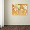 thumbnail image 3 of Trademark Fine Art "Sunset Palms" Canvas Art by Sheila Golden, 3 of 3