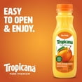 thumbnail image 2 of Tropicana Pure Premium 100% Orange Juice Original, No Pulp, Single Serve, 11 fl oz bottle, 2 of 15