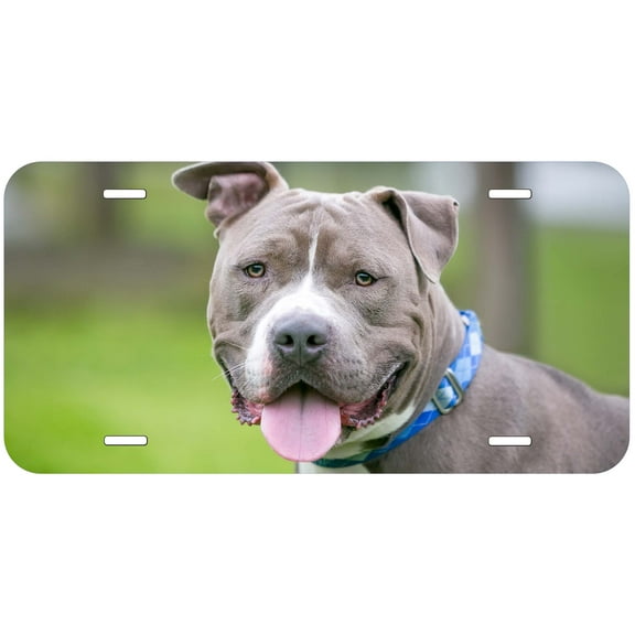 Pitbul TAG03 Novelty Car Auto License Plate