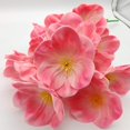 thumbnail image 4 of 20 flores artificiales de amapola, flores falsas, flores decorativas de tacto real, 20 flores para boda, fiesta, decoración del hogar (rosa) (jarrón no incluido). oso de fresa  Juguete, 4 of 6