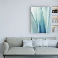 thumbnail image 3 of Trademark Fine Art 'Pale Blue Agave No. 1' Canvas Art by Lupen Grainn, 3 of 3