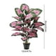 thumbnail image 3 of Plantas artificiales en maceta | Planta tropical artificial con 24 hojas realistas | Planta artificial de 84 cm de altura para la decoración del hogar y la oficina, 3 of 7