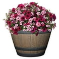 thumbnail image 2 of saney Whiskey Plastic Resin Flower Pot Barrel Planter, Walnut Brown, 15", 2 of 5