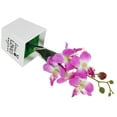 thumbnail image 3 of Artificial polilla orquídea Bonsai decoración escritorio imitación flor en maceta planta en maceta simulada, 3 of 5