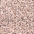thumbnail image 4 of Toddler Girls Sequin Dress A-Line Sparkly Sleeveless Wedding Gown Party Dresses for Girls Kids Summer Clothes, 4 of 6