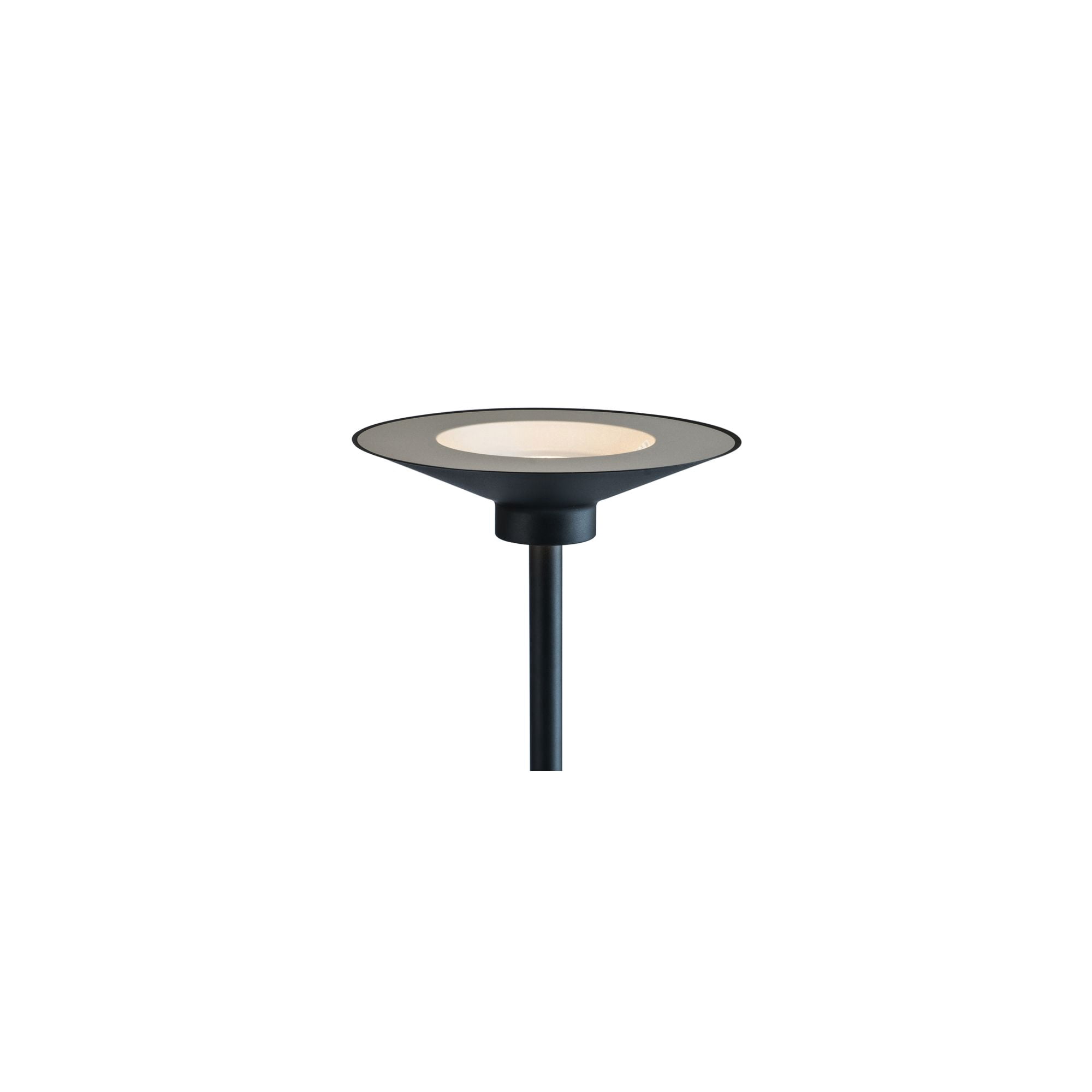 Lite Source Sappho 72" Black Finish LED Torchiere Lamp with Down Light