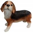 thumbnail image 1 of Nosy Beagle Puppy, Medium, 1 of 1