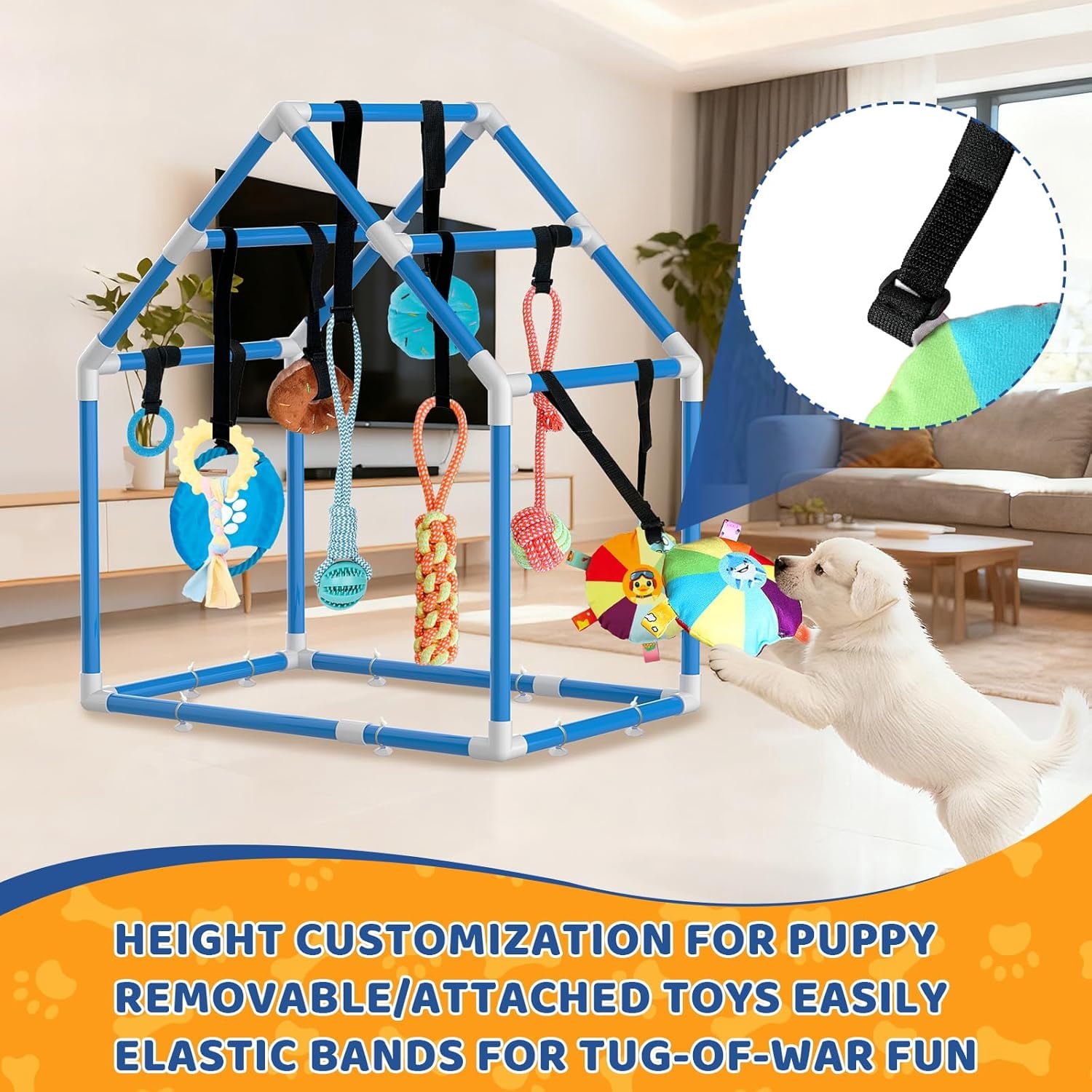 Play Gym for Small Dogs with PVC Frame, 10 Hanging Toys & Stretchy Ropes for Indoor Enrichment Activity
