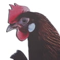 thumbnail image 4 of Arte De Patio De Pollo, Estacas Decorativas Para Gallinas De Jardín De Colores Brillantes, Fáciles De Instalar Para Patios, 4 of 7